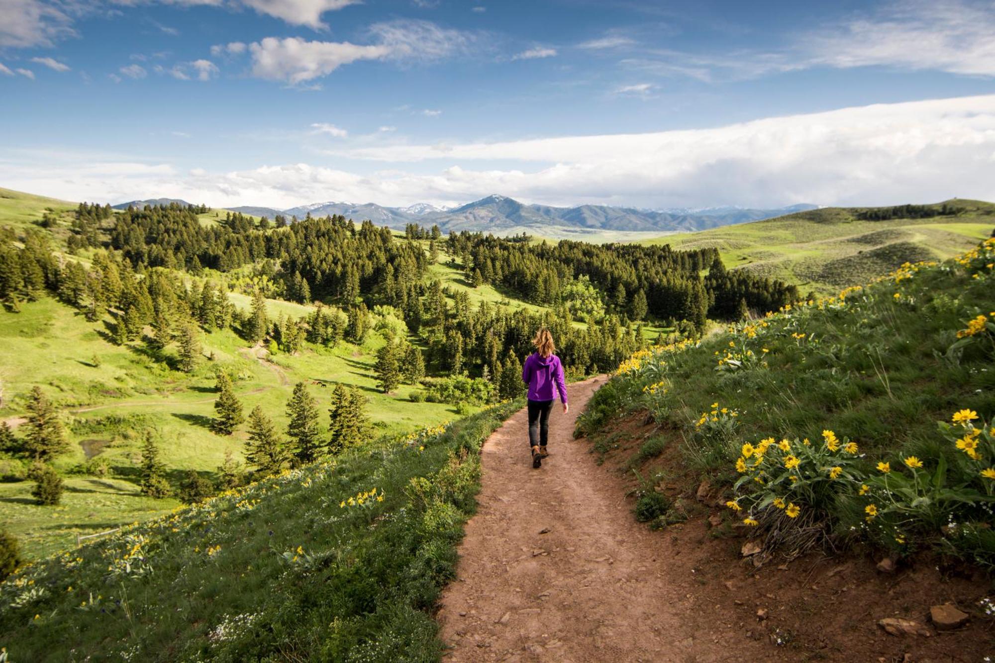 Even Bozeman Yellowstone Intl Arpt By Ihg 4* Belgrade